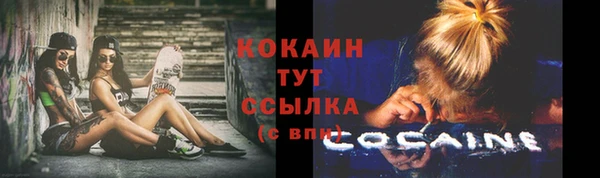 шишки Осташков