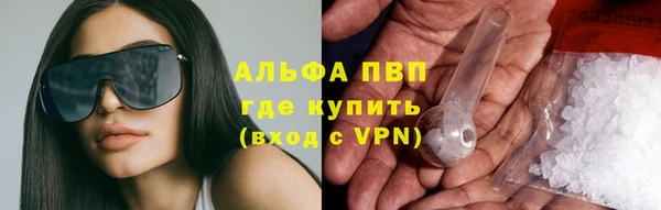 шишки Осташков