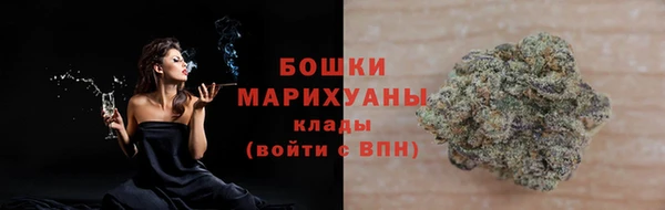 шишки Осташков