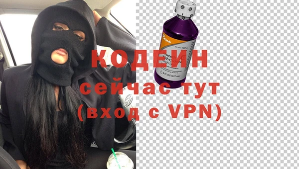 шишки Осташков