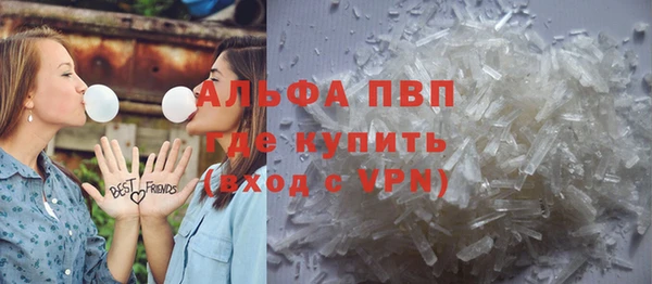 шишки Осташков