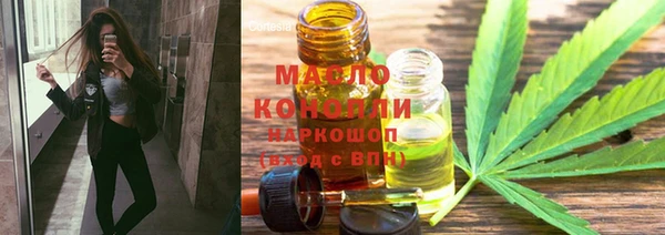 шишки Осташков