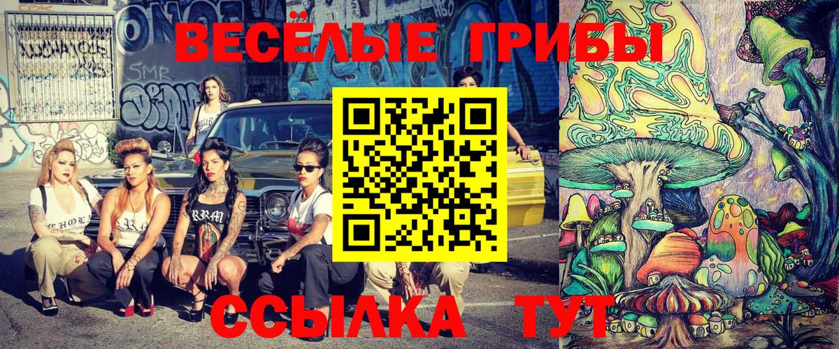 наркота  Галлюциногенные грибы GOLDEN TEACHER  Борзя  Вход с VPN  Галлюциногенные грибы прущие грибы 