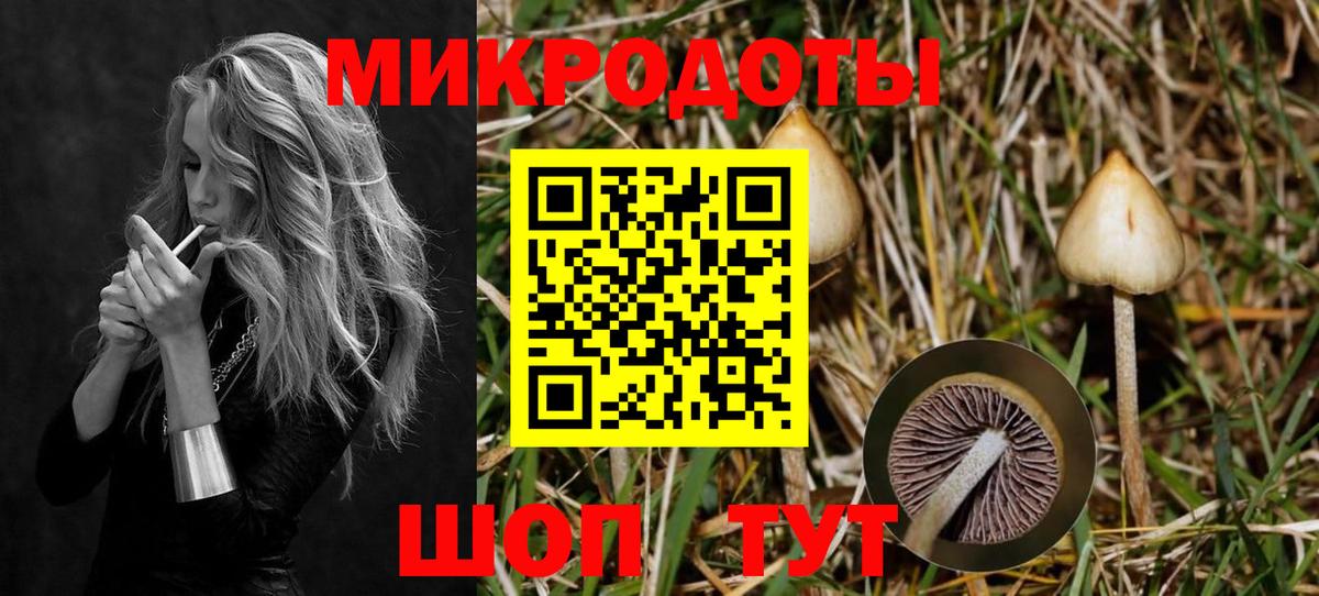 Псилоцибиновые грибы мухоморы Борзя