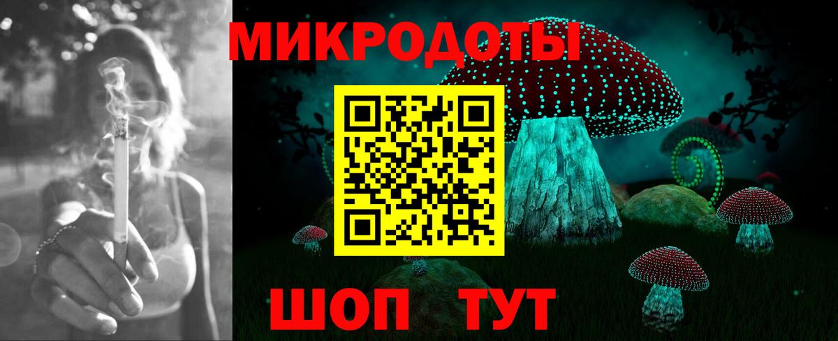 Галлюциногенные грибы Psilocybine cubensis Борзя