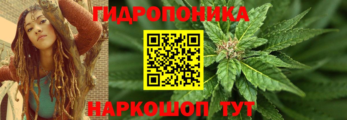 Каннабис план  Бошки марихуана Ganja  Бошки Шишки LSD WEED  Вход с VPN  Борзя 