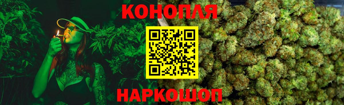 Каннабис OG Kush  Бошки Шишки White Widow  Борзя  Бошки Шишки план  МАРИХУАНА индика 